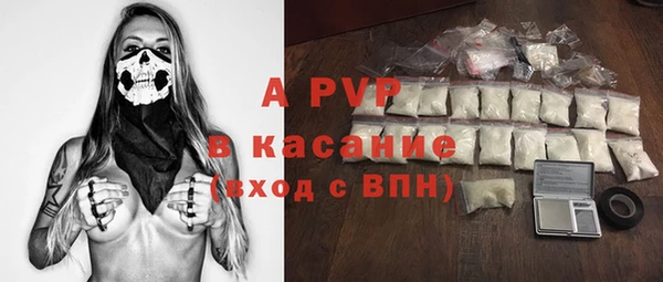 сатива Бородино