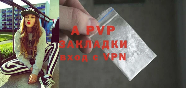 сатива Бородино