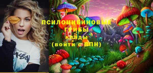сатива Бородино