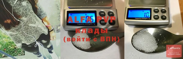 сатива Бородино