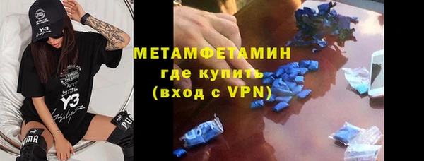 сатива Бородино