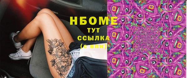сатива Бородино