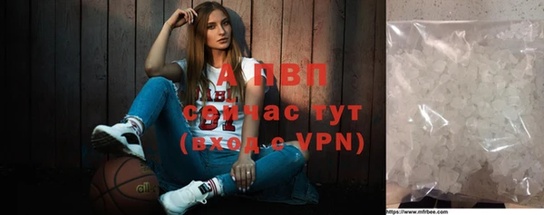 сатива Бородино