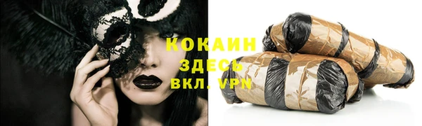 сатива Бородино