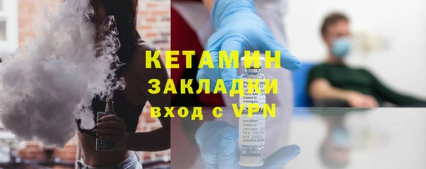 сатива Бородино
