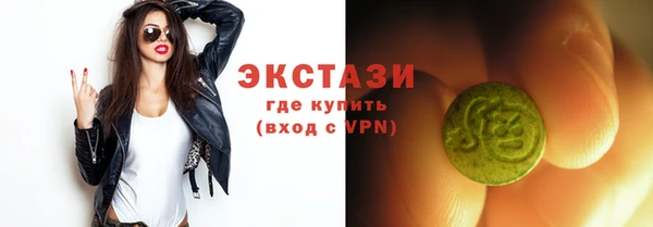 сатива Бородино