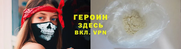 сатива Бородино