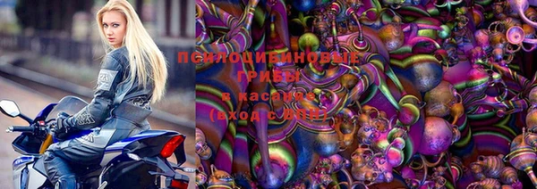 дживик Бугульма