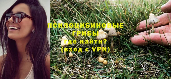 сатива Бородино