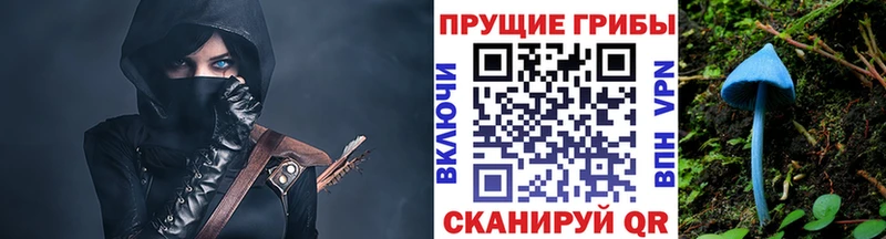Галлюциногенные грибы Magic Shrooms Новоржев