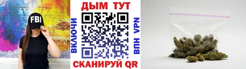 Купить где  Новоржев  Бошки марихуана планчик 